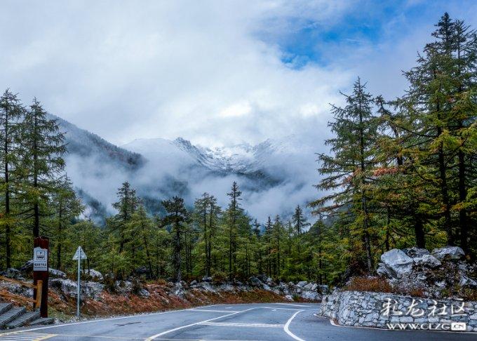 后悔吗？泰山队1500万重金砸来的锋线新援，如今一场没踢就离队了
