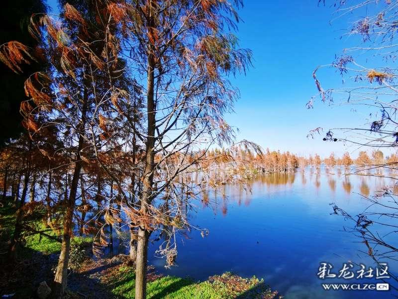 上海物贸3涨停